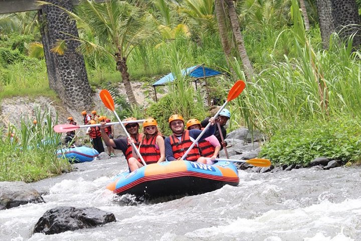 Activity Image 2