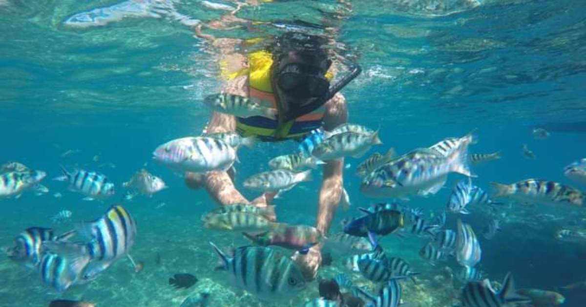 Snorkeling at blue lagoon & Tanjung Jepun