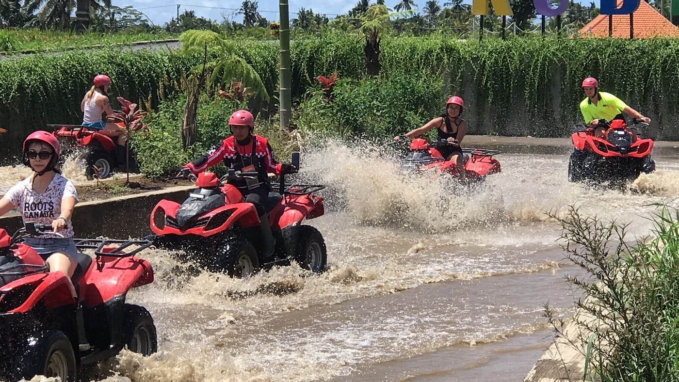 Activity Image 2
